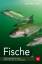 Fische: Süßwasserfische sowie Arten der Nord- und Ostsee (BLV Angelpraxis) - Gebhardt, Harald, Ness, Andreas
