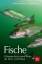 Fische - Süßwasserfische sowie Arten der Nord- und Ostsee - Gebhardt, Harald; Ness, Andreas