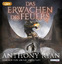 Das Erwachen des Feuers [Hörbuch/mp3-CD] - Ryan, Anthony und Detlef Bierstedt