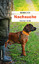Nachsuche | Tösstal-Krimi | KuhnKuhn | Taschenbuch | 448 S. | Deutsch | 2013 | Gmeiner-Verlag | EAN 9783839214305 - KuhnKuhn