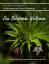 Eine Botanische Weltreise | Eine Einführung in die Pflanzenregionen der Erde | Katrin Schmidt (u. a.) | Taschenbuch | Paperback | 52 S. | Deutsch | 2010 | Books on Demand GmbH | EAN 9783842328563 - Schmidt, Katrin