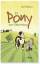 Ein Pony zum Geburtstag - Inken Weyand