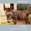 Fuzzy | Uschi Niemann | Taschenbuch | Paperback | Englisch | 2012 | Books on Demand | EAN 9783848210893 - Niemann, Uschi