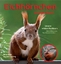 Eichhörnchen entdecken! - Unsere wilden Nachbarn Ihre Lebensweise, ihre Besonderheiten - Carsten Cording, Birte Alber