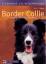 Border Collie - Charakter, Erziehung, Gesundheit - Franck, Rolf C