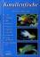 Korallenfische Zentraler Indopazifik - Eichler, Dieter; Myers, Robert