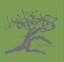 Boscone - Faszination Baum / Katalog zur Ausstellung Hagen 2016 / Emil Schumacher / Buch / 96 S. / Deutsch / 2016 / Verlag Kettler / EAN 9783862065516 - Schumacher, Emil