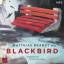 Blackbird - Hörbuch von Matthias Brandt - Ungekürzte Autorenlesung - Brandt, Matthias