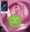 Shades of Grey. Befreite Lust: Band 3 [Audiobook, MP3 Audio] [MP3 CD] - E L James (Autor), Merete Brettschneider (Sprecher), Sonja Hauser (Übersetzer), Andrea Brandl (Übersetzer)