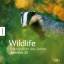 Wildlife - Fotografien des Jahres Portfolio 23 - NHM