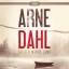 Sieben minus eins - 2 CDs - Dahl, Arne