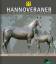 HANNOVERANER - Unsere Pferde in Vergangenheit und Gegenwart | Buch | 400 S. | Deutsch | 2016 | FN Verlag | EAN 9783885427681
