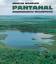 Pantanal - Amphibisches Wunderland in Südamerika - Wendler, Martin