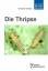 Thripse: Fransenflügler, Thysanoptera. Pflanzensaftsaugende Insekten - Band 1. (Die Neue Brehm-Bücherei, Band 663). - Moritz, Gerald
