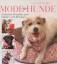 Mode für Hunde - Einfache Projekte zum Nähen und Stricken - Shahravesh, Lilly
