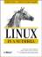 Linux in a Nutshell: 10 Jahre Linux - Limitierte Sonderausgabe - Ellen Siever