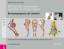 Bild-Text-Atlas zur Anatomie und Klinik des Pferdes | Band 1 Bewegungsapparat und Lahmheiten | Ronald J. Riegel (u. a.) | Buch | Schlütersche Vet | Deutsch | 2010 | Schlütersche | EAN 9783899930733 - Riegel, Ronald J.