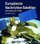 Europäische Nachrichten-Satelliten - Von Intelsat bis TV-Sat - Fischer, Hans M