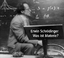Was ist Materie? - Originaltonaufnahmen 1949-1952 - Schrödinger, Erwin