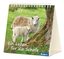 Ein Leben für die Schafe 2019  Maße(B/H): 14,5 x 15 cm, Postkartenkalender mit Bibelzitaten, Zum Aufstellen oder Hängen  Kalender  13 S.  Deutsch  2018