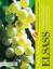 Elsass Entlang der Weinstraße: Weine, Winzer, Lagen, Spezialitäten Wolfgang Faßbender Buch Deutsch 2013 - Faßbender, Wolfgang