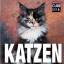 Katzen (Cubebook) - Gromis di Trana, Caterina