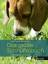 Das große Schnüffelbuch / Nasenspiele für Hunde / Viviane Theby (u. a.) / Buch / Das besondere Hundebuch / 230 S. / Deutsch / 2013 / Kynos Verlag / EAN 9783942335010 - Theby, Viviane