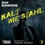 Kalt wie Stahl: Der 3. Joe Kurtz Audio-CD Mängelexemplar von Dan Simmons