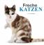Freche Katzen - Burton, Jane