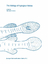 The biology of hypogean fishes - Herausgegeben von Romero, Aldemaro