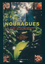 Nouragues - Bongers, F. Charles-Dominique, P. Forget, P.-M. Théry, Marc