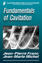 Fundamentals of Cavitation - Franc, Jean-Pierre;Michel, Jean-Marie