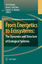 From Energetics to Ecosystems: The Dynamics and Structure of Ecological Systems - Herausgegeben von Rooney, N. McCann, K.S. Noakes, D.L.G.