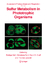 Sulfur Metabolism in Phototrophic Organisms - Herausgegeben:Hell, Rüdiger; Dahl, Christiane; Knaff, David B.; Leustek, Thomas