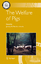 The Welfare of Pigs / Jeremy N. Marchant-Forde / Taschenbuch / Animal Welfare / Paperback / XIV / Englisch / 2010 / Springer Netherland / EAN 9789048180240 - Marchant-Forde, Jeremy N.
