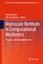 Multiscale Methods in Computational Mechanics - Herausgegeben:de Borst, René Ramm, Ekkehard