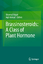 Brassinosteroids: A Class of Plant Hormone Shamsul Hayat (u. a.) Buch Englisch 2010 - Hayat, Shamsul