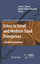 Ethics in Small and Medium Sized Enterprises - Spence, Laura Painter-Morland, Mollie
