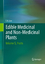 Edible Medicinal And Non-Medicinal Plants / Volume 5, Fruits / T. K. Lim / Buch / HC runder Rücken kaschiert / Englisch / 2013 - Lim, T. K.