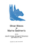 Shear Waves in Marine Sediments - Hovem, J.M Richardson, Michael D. Stoll, Robert D.