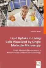 Lipid Uptake in Living Cells Visualized by Single Molecule Microscopy