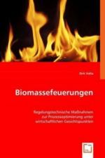 Biomassefeuerungen