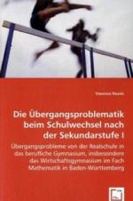 Die Übergangsproblematik beim Schulwechsel nach der Sekundarstufe I