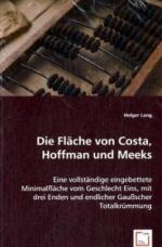 Die Fläche von Costa, Hoffman und Meeks