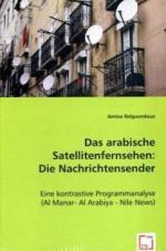 Das arabische Satellitenfernsehen: Die Nachrichtensender