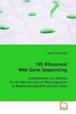 16S Ribosomal RNA Gene Sequencing
