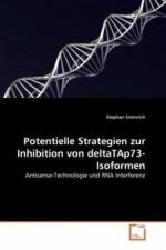 Stephan Emmrich: Potentielle Strategien 