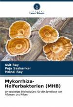 Mykorrhiza-Helferbakterien (MHB)