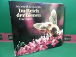 Six, Anne und Jacques Six: Im Reich der 