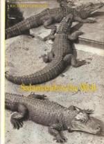 Salamandrische Welt - Amphibien und Reptilien